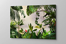 Obraz na stenu exotika, listy monstera palma listy ibištek ibiscus zelená green
